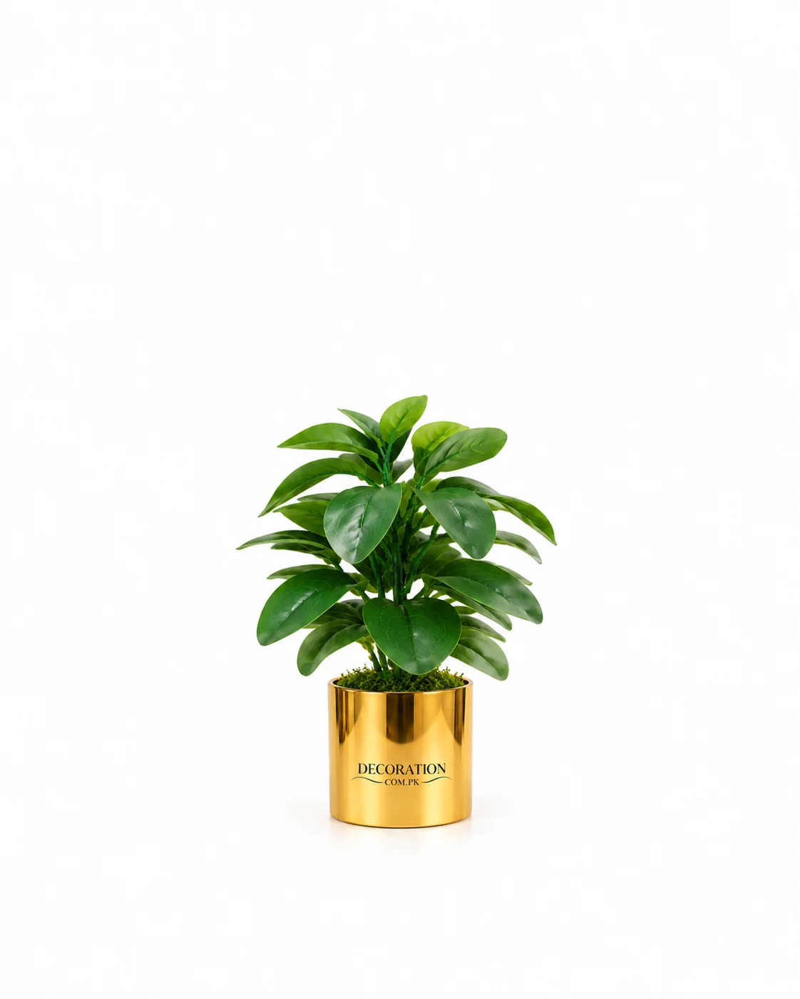 Artificial Rubber Plant (Ficus Elastica)