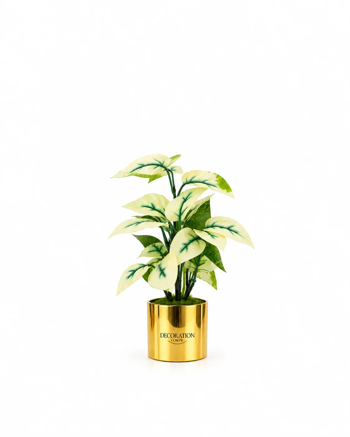 Artificial Variegated Green & Cream Plant with Golden Pot